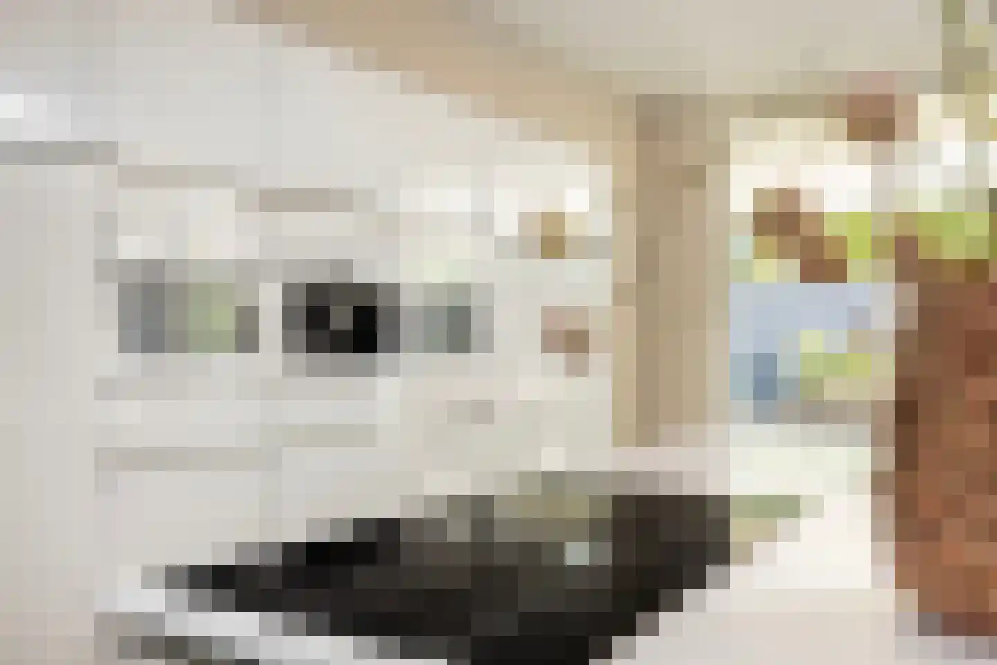 Kolbleistraat 16 Hengelo thumbnail 14