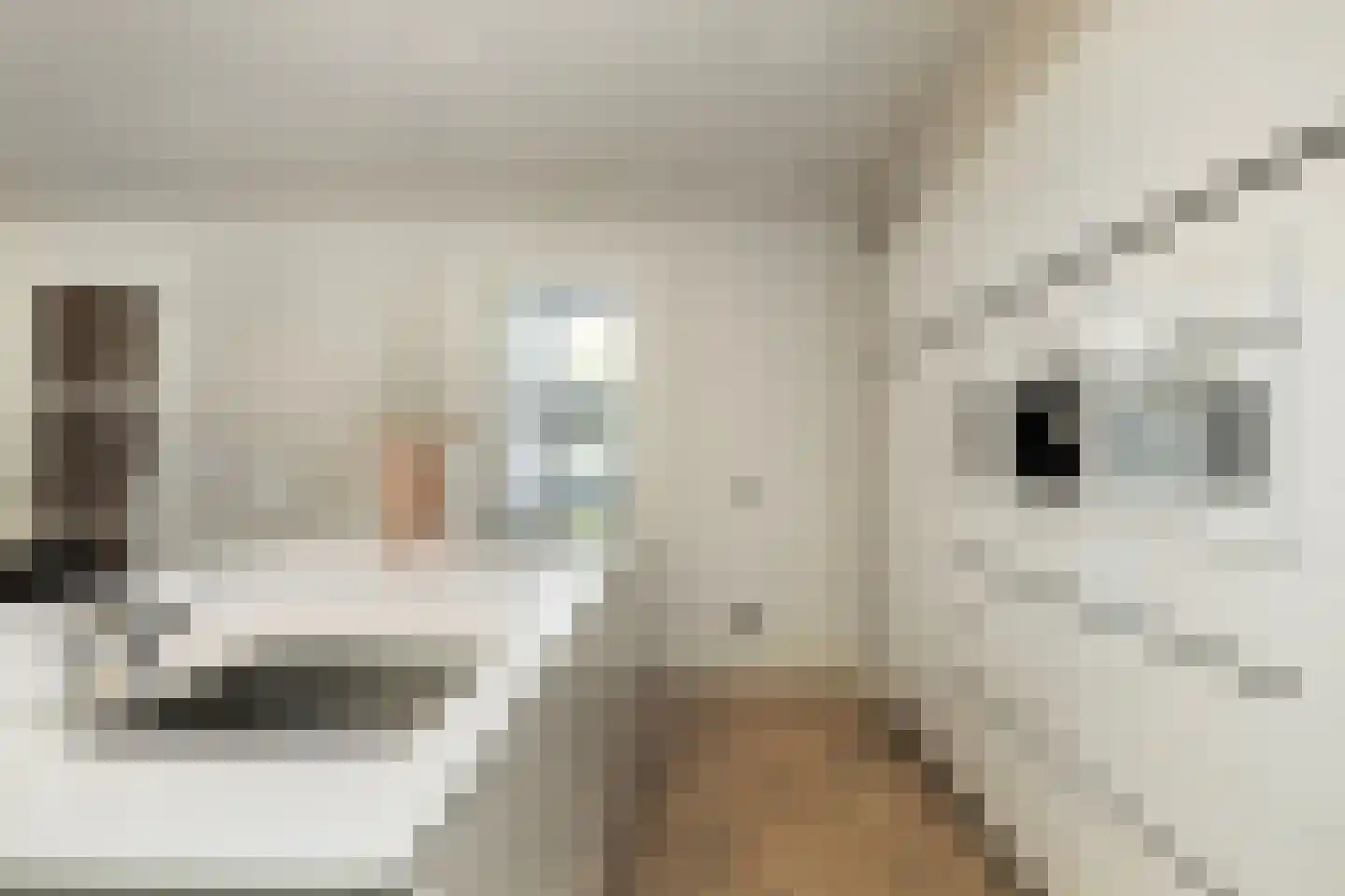 Kolbleistraat 16 Hengelo thumbnail 17
