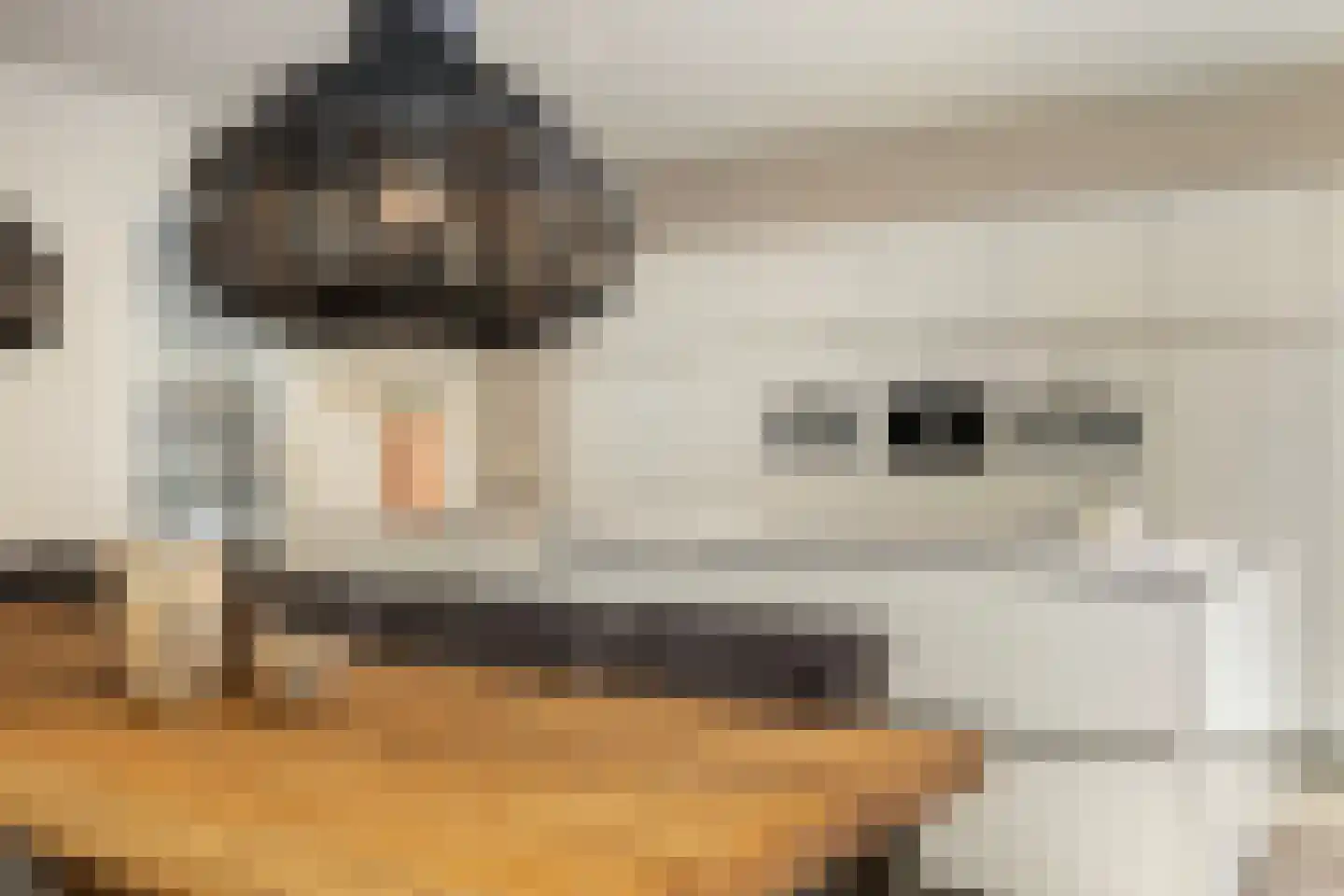 Kolbleistraat 16 Hengelo thumbnail 19