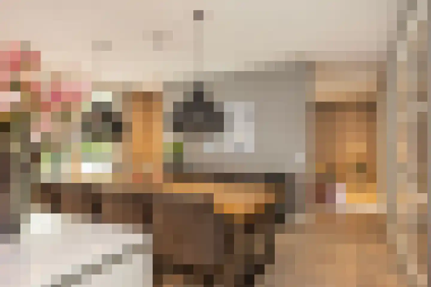 Kolbleistraat 16 Hengelo thumbnail 29