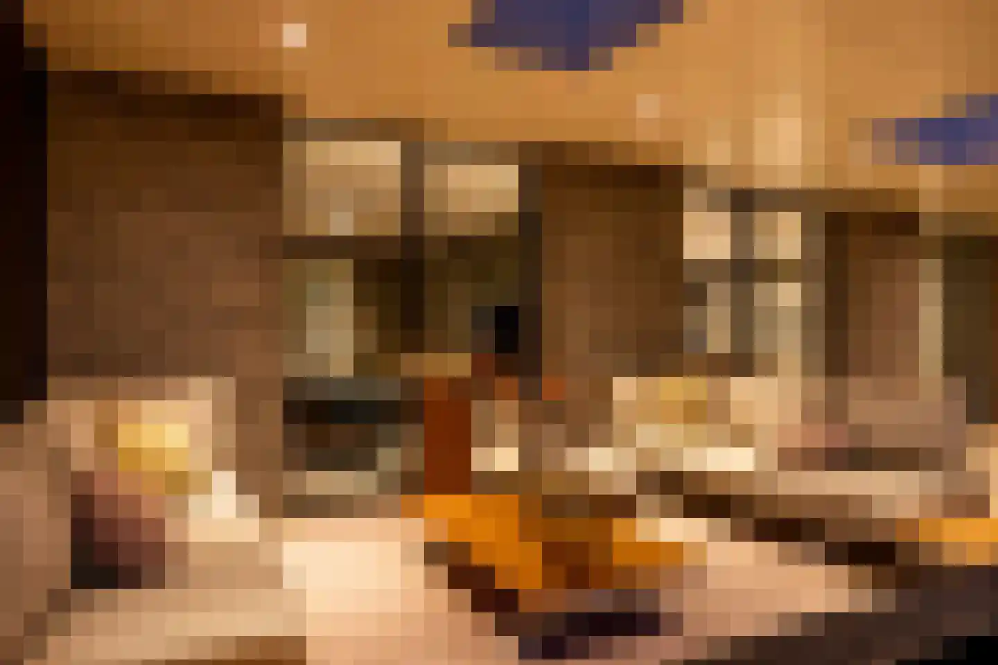 Kolbleistraat 16 Hengelo thumbnail 43
