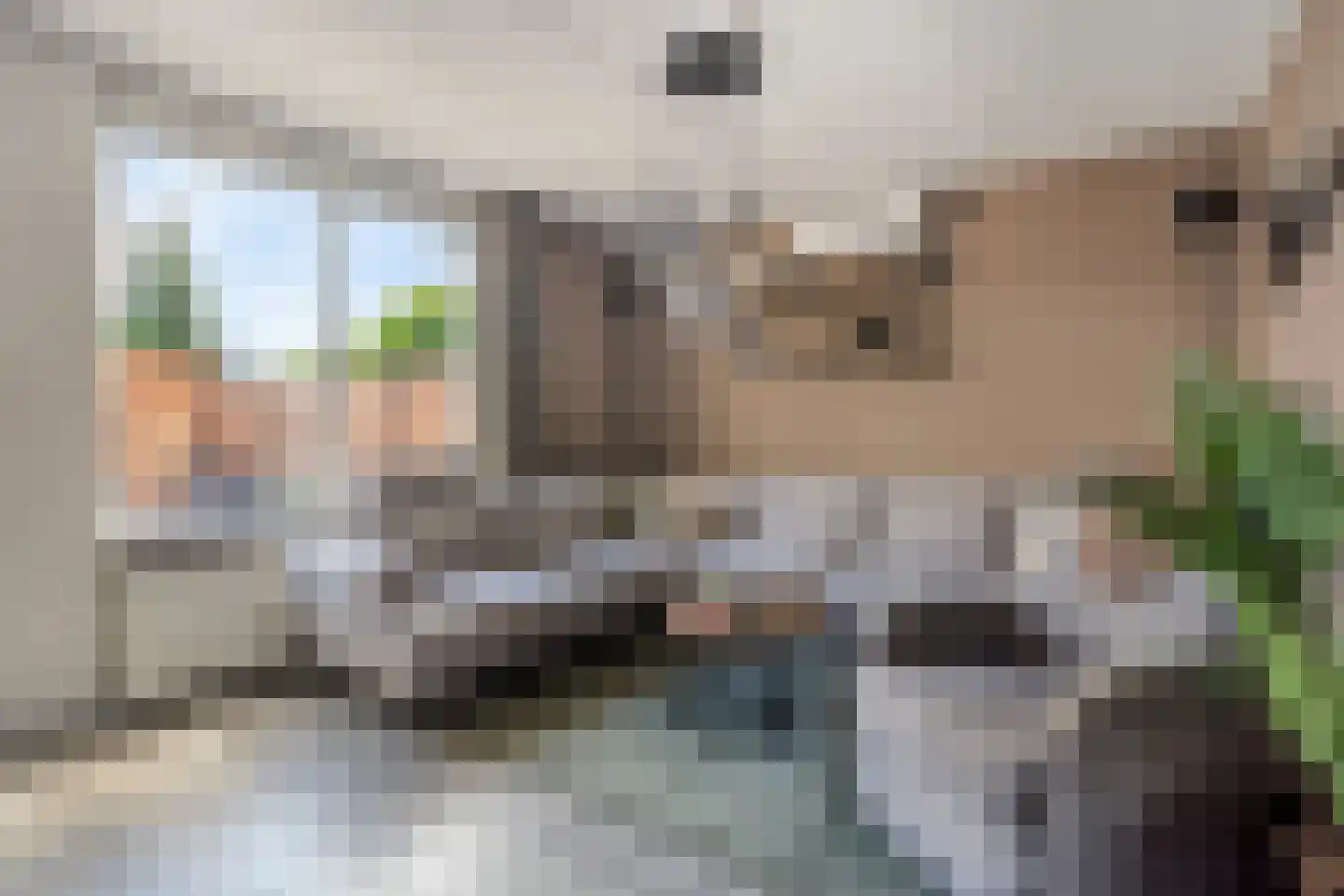 Koldakker 26 Assen thumbnail 10