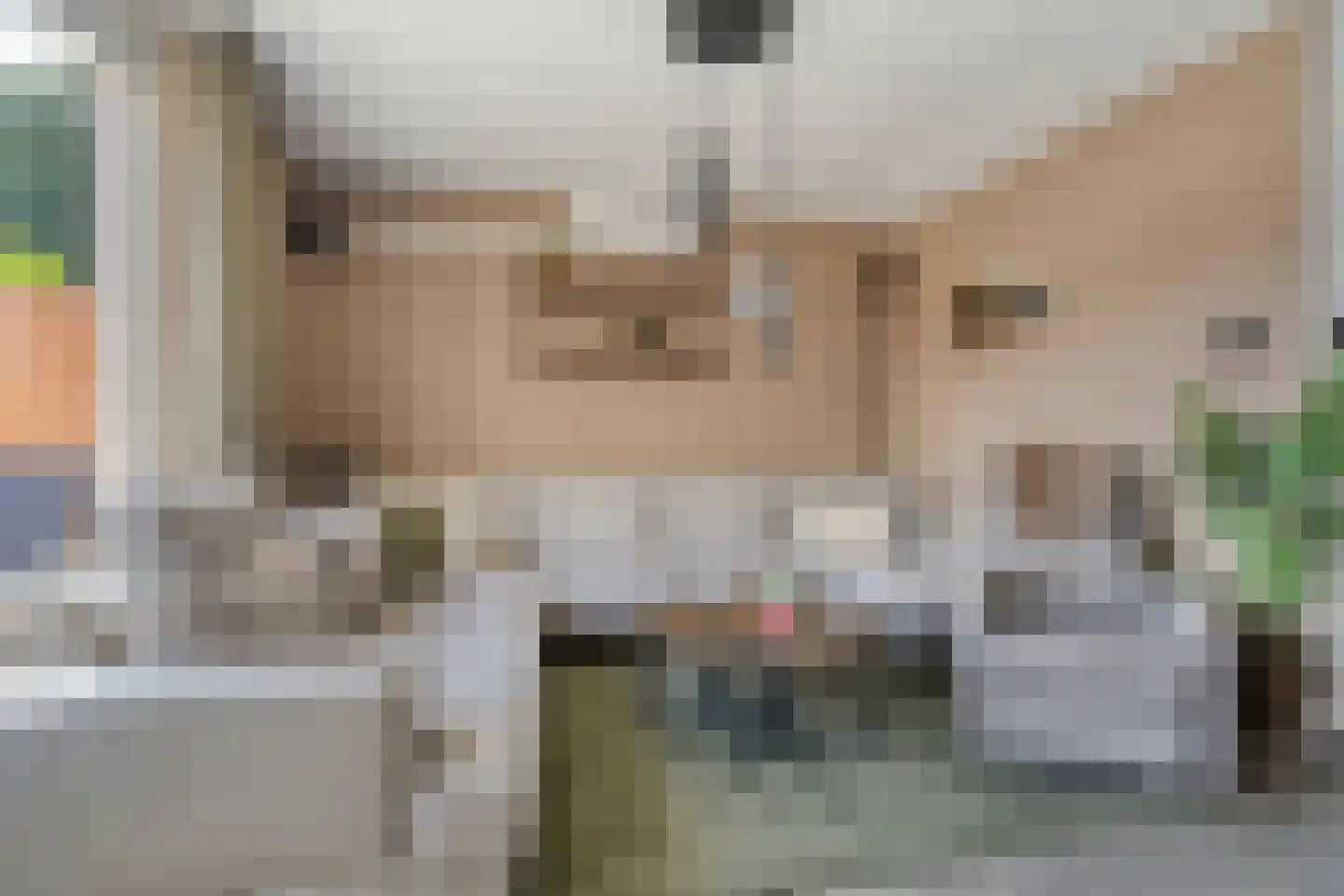 Koldakker 26 Assen thumbnail 11