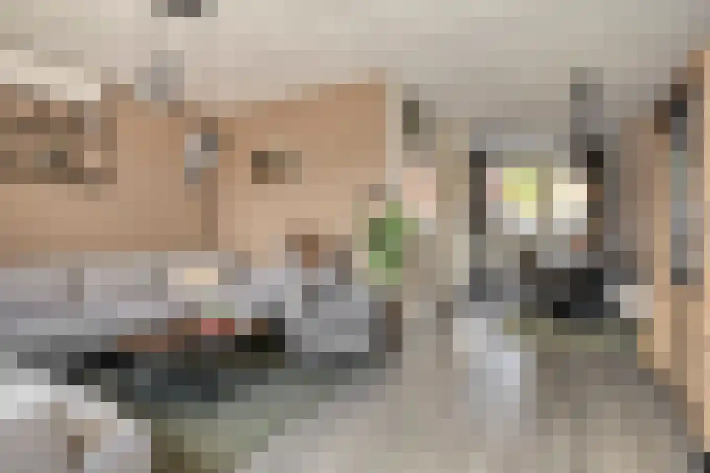 Koldakker 26 Assen thumbnail 13