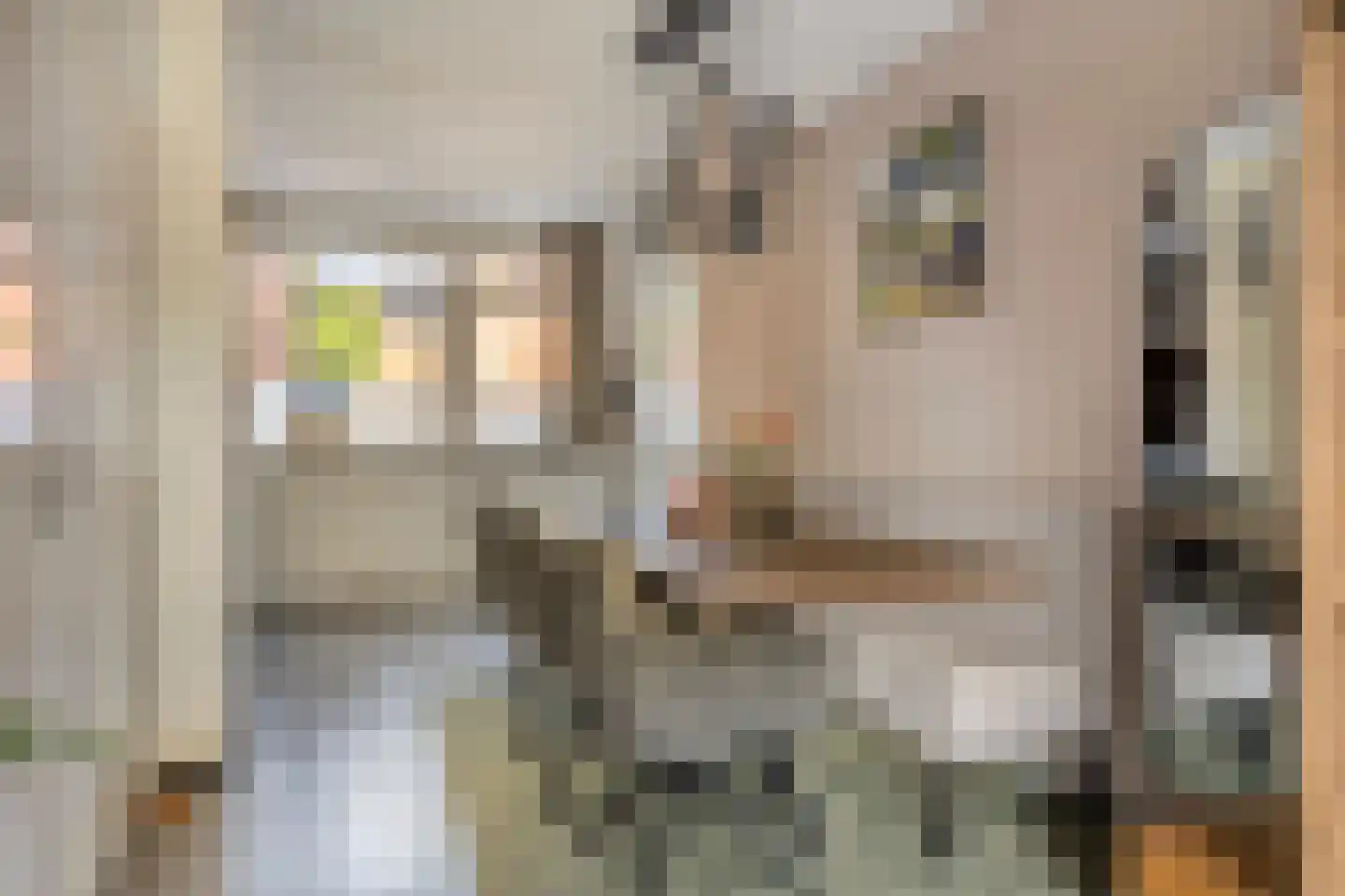 Koldakker 26 Assen thumbnail 14