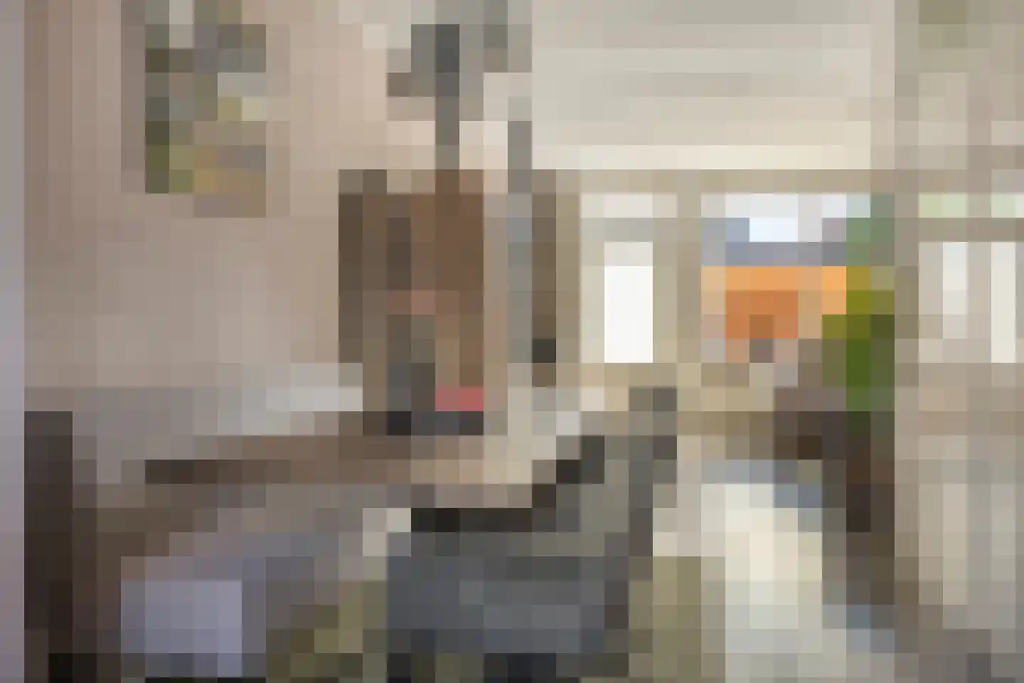 Koldakker 26 Assen thumbnail 15