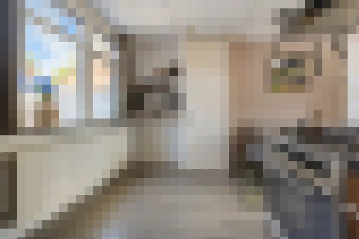 Koldakker 26 Assen thumbnail 18