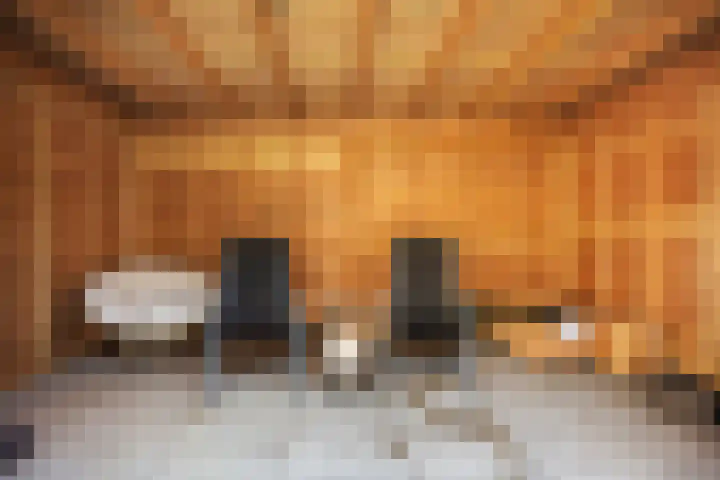 Koldakker 26 Assen thumbnail 37