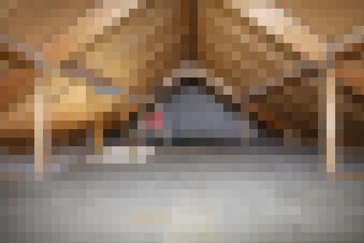 Koldakker 31 Assen thumbnail 14