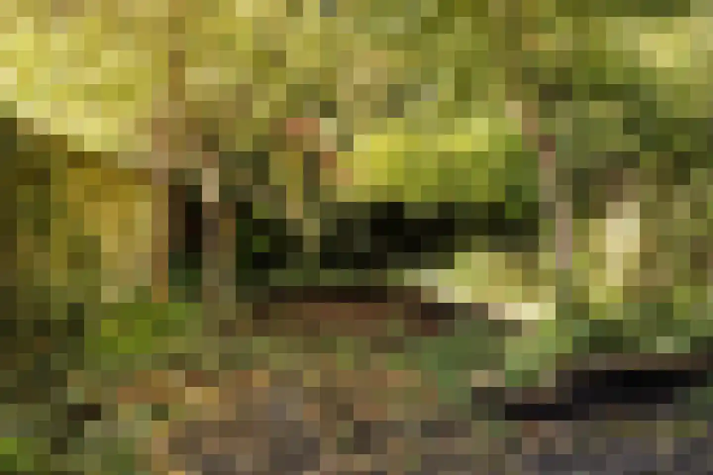 Koldakker 31 Assen thumbnail 15