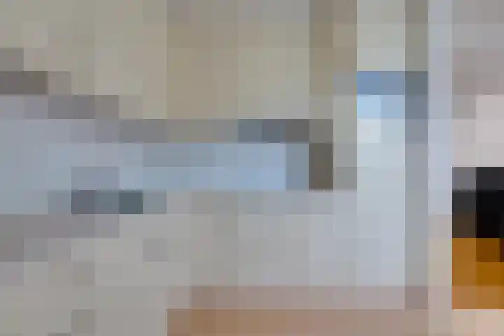 Koldakker 38 Assen thumbnail 11
