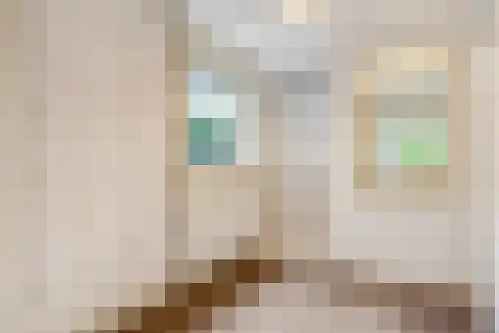 Koldakker 38 Assen thumbnail 15