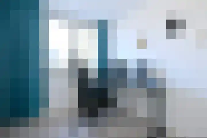 Koldakker 38 Assen thumbnail 17