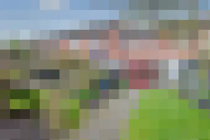 Koldakker 38 Assen thumbnail 32