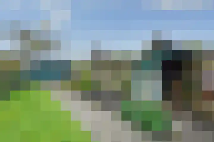 Koldakker 38 Assen thumbnail 33