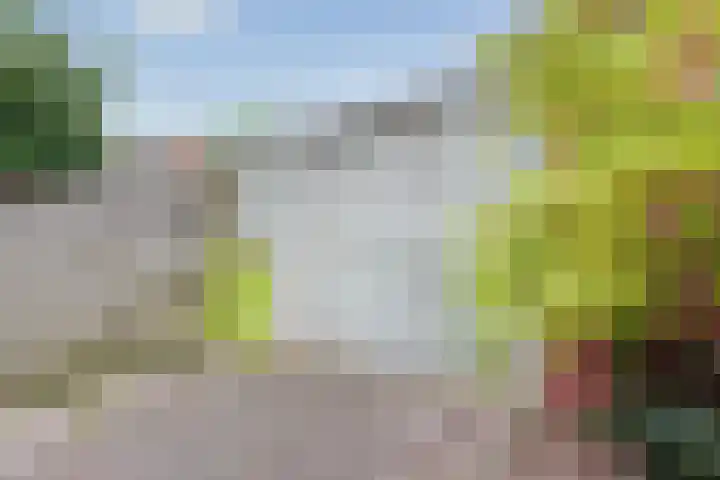Koldakker 38 Assen thumbnail 35