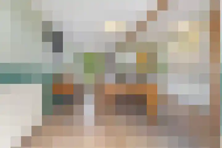 Koldakker 38 Assen thumbnail 36