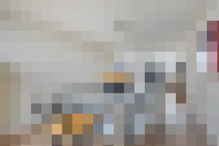 Koldakker 38 Assen thumbnail 39