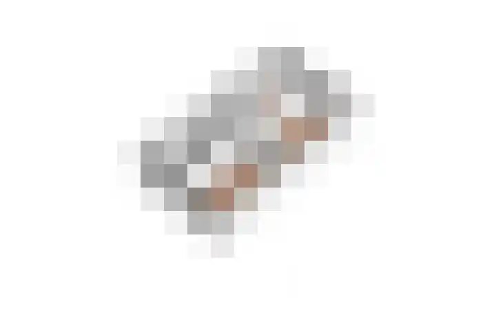 Koldakker 38 Assen thumbnail 41