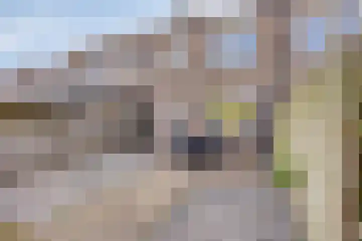 Koldakker 38 Assen thumbnail 48