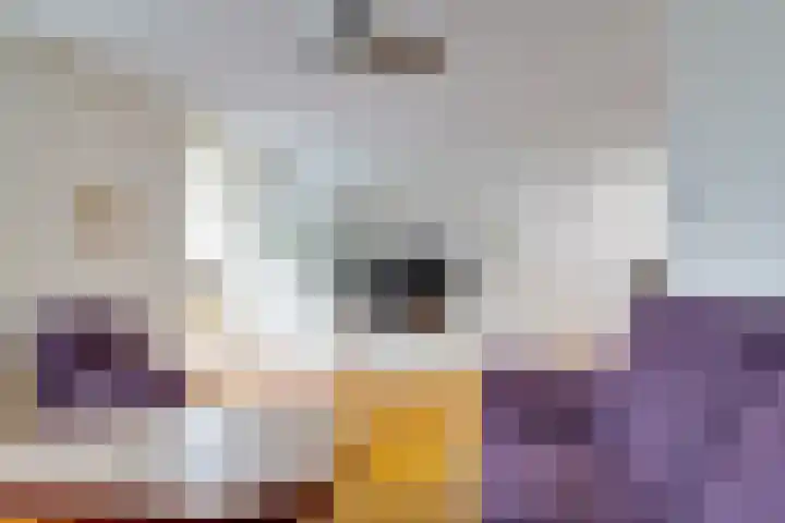 Koldakker 38 Assen thumbnail 5