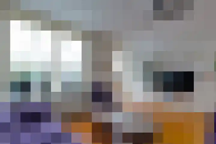 Koldakker 38 Assen thumbnail 6