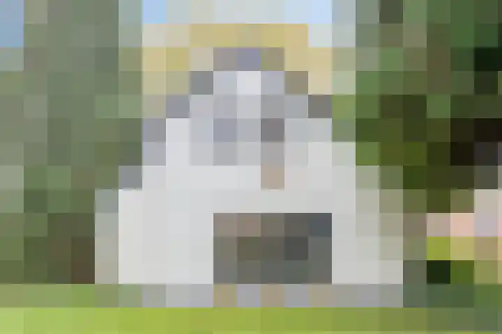 Koldakker 38 Assen thumbnail 8