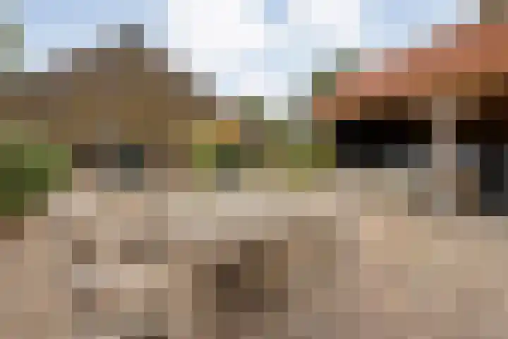 Kolderveen 37 Nijeveen thumbnail 28