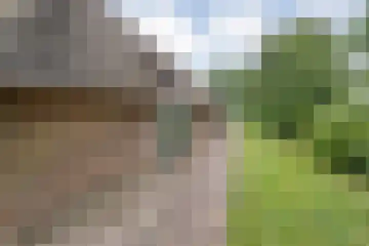 Kolderveen 37 Nijeveen thumbnail 32