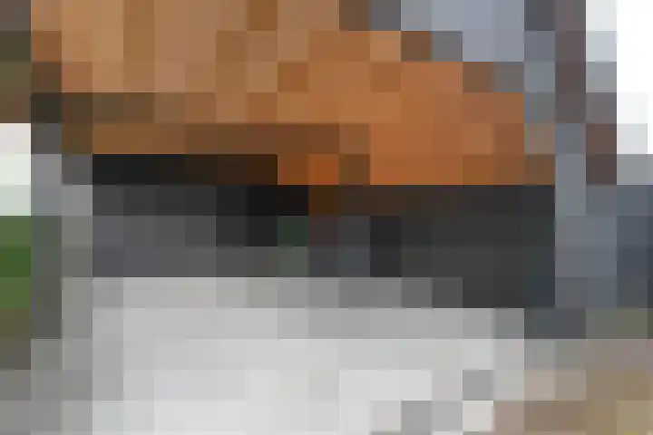 Kolderveen 37 Nijeveen thumbnail 33