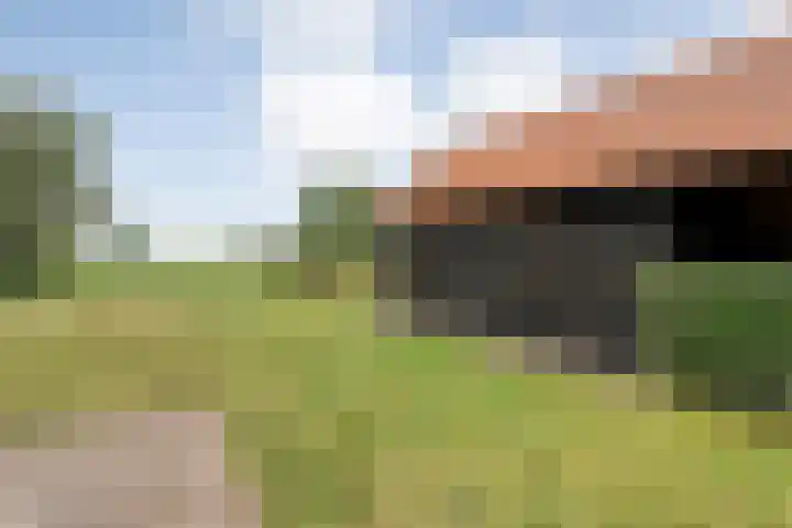 Kolderveen 37 Nijeveen thumbnail 34