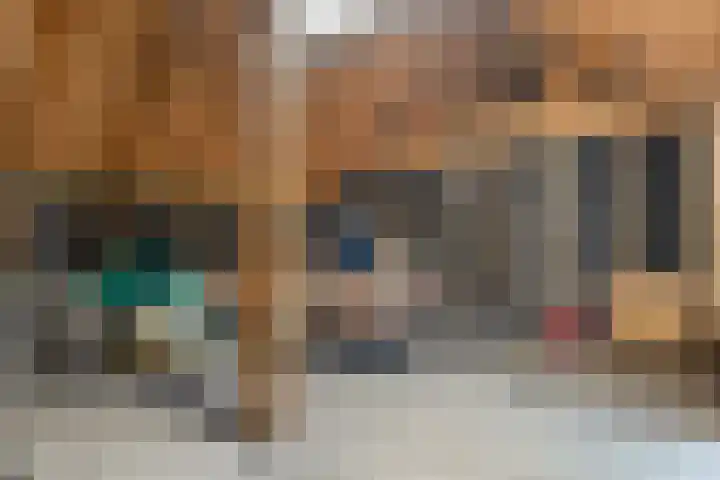 Kolderveen 37 Nijeveen thumbnail 36