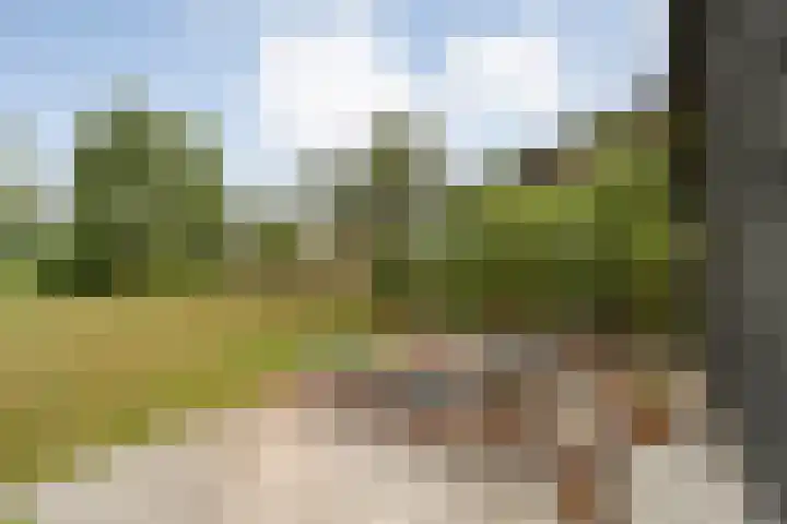 Kolderveen 37 Nijeveen thumbnail 37