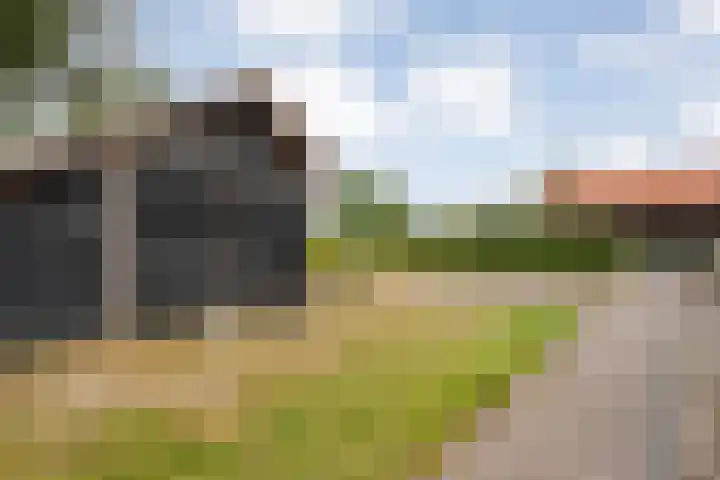 Kolderveen 37 Nijeveen thumbnail 38