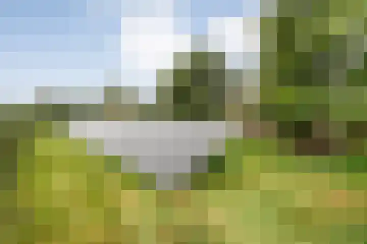 Kolderveen 37 Nijeveen thumbnail 39