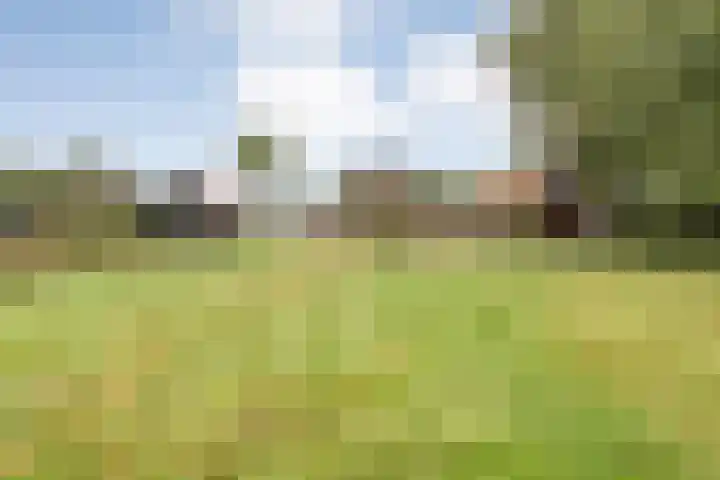 Kolderveen 37 Nijeveen thumbnail 4