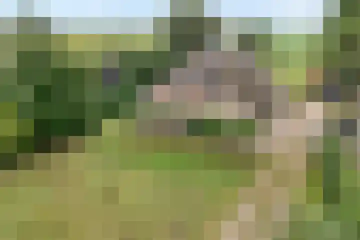 Kolderveen 37 Nijeveen thumbnail 41