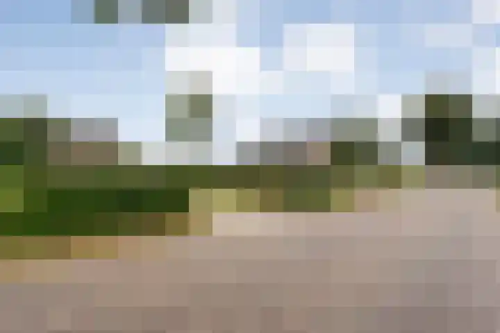 Kolderveen 37 Nijeveen thumbnail 44
