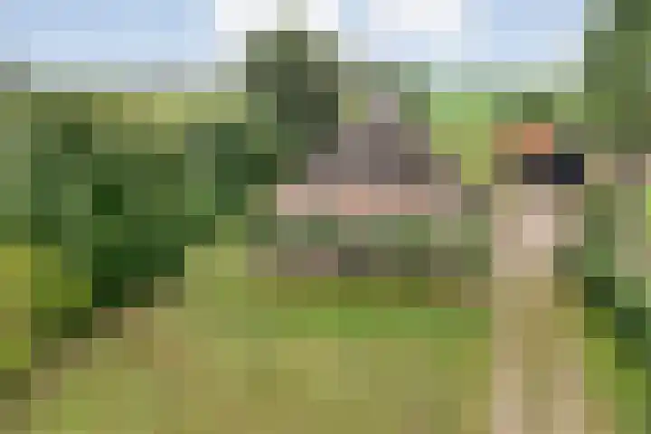 Kolderveen 37 Nijeveen thumbnail 45