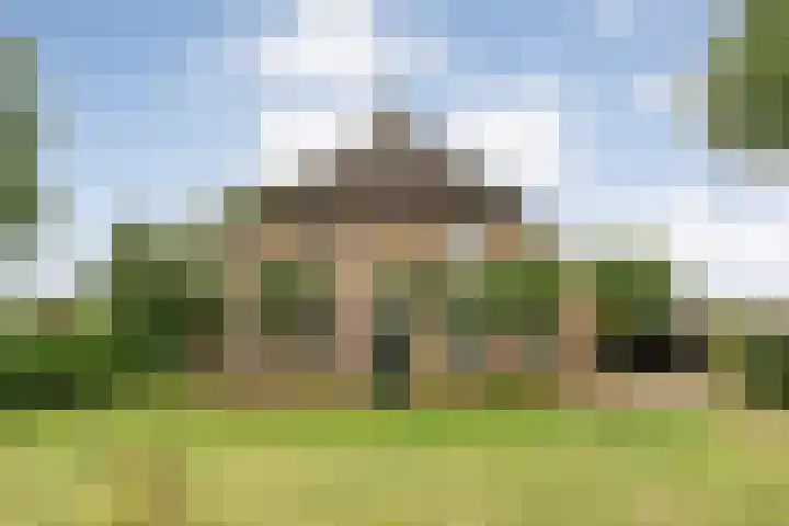 Kolderveen 37 Nijeveen thumbnail 46