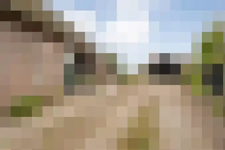 Kolderveen 37 Nijeveen thumbnail 47