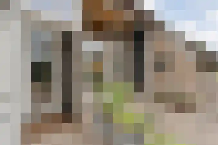 Kolderveen 37 Nijeveen thumbnail 48