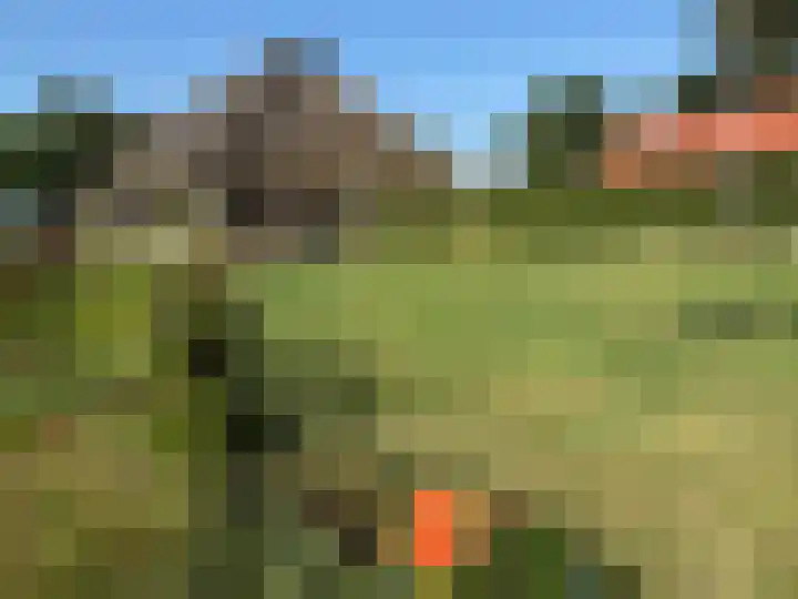 Kolderveen 37 Nijeveen thumbnail 51