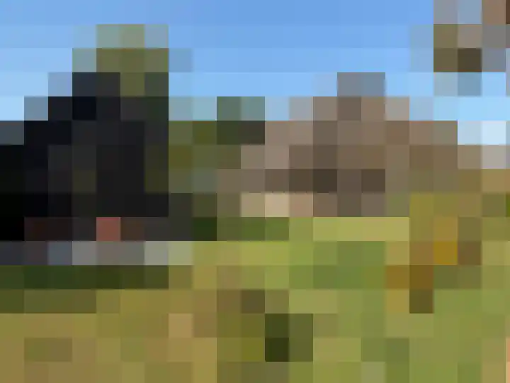 Kolderveen 37 Nijeveen thumbnail 52