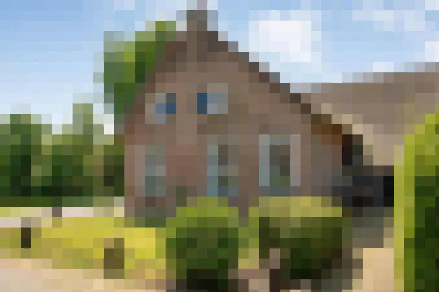 Kolderveen 46 Nijeveen thumbnail 12