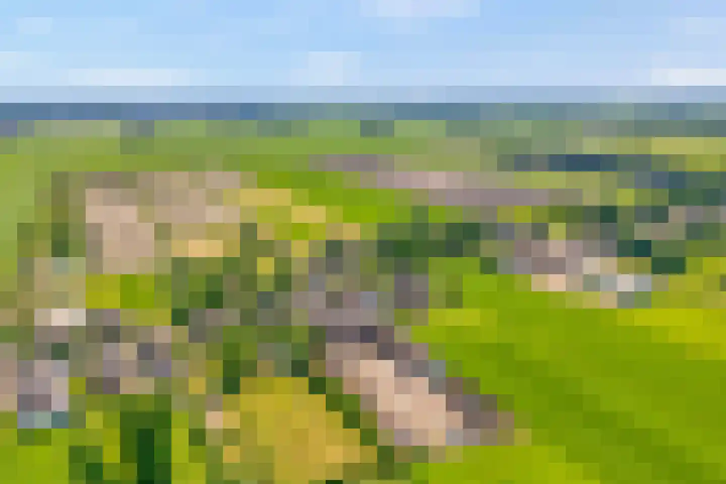 Kolderveen 46 Nijeveen thumbnail 4