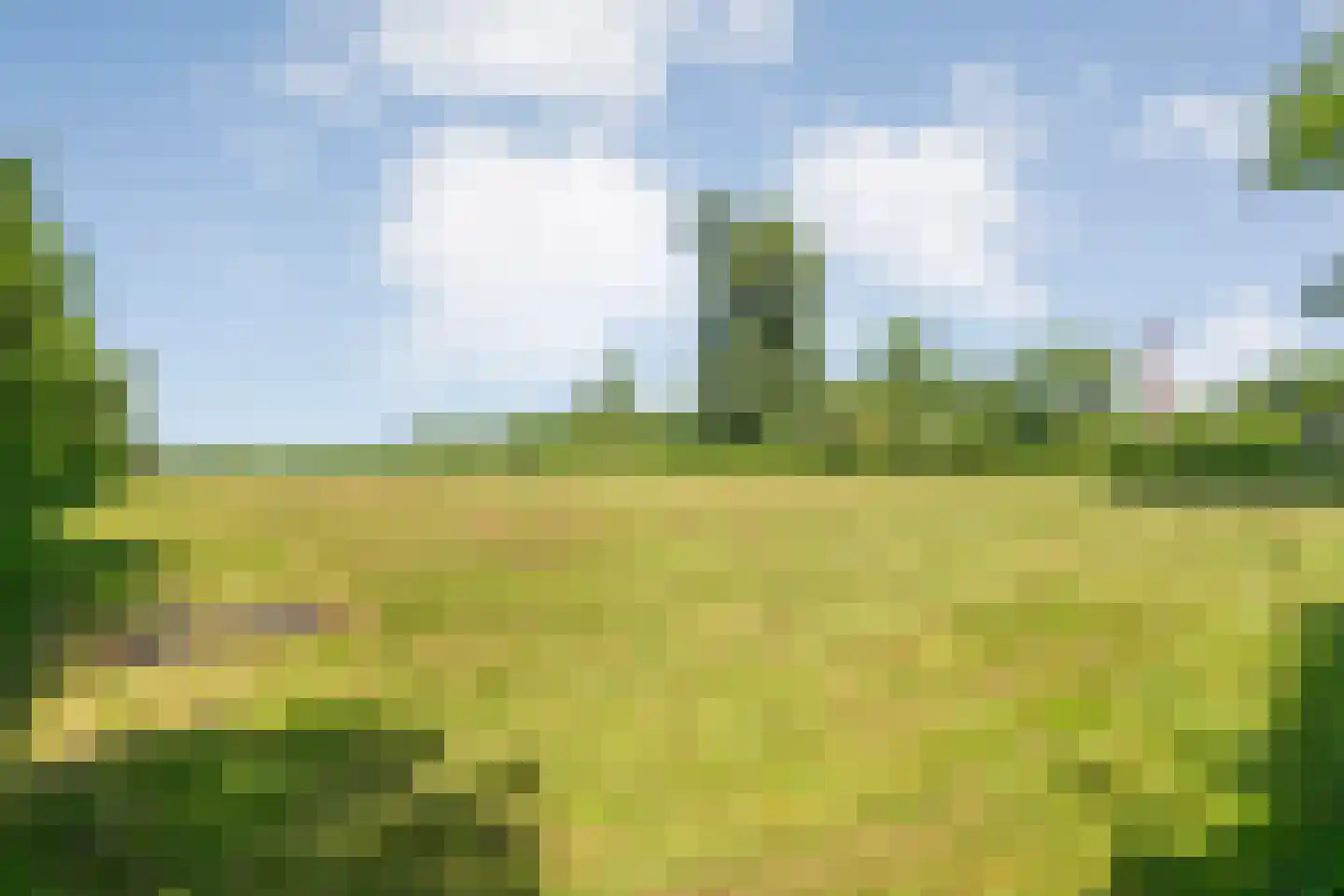 Kolderveen 46 Nijeveen thumbnail 67