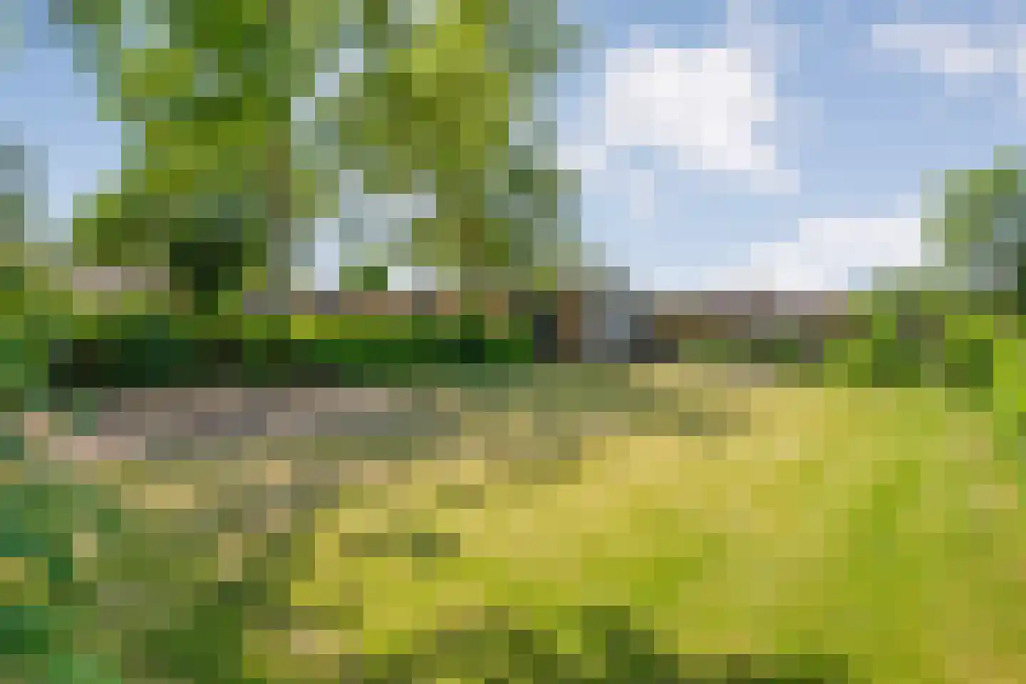 Kolderveen 46 Nijeveen thumbnail 68