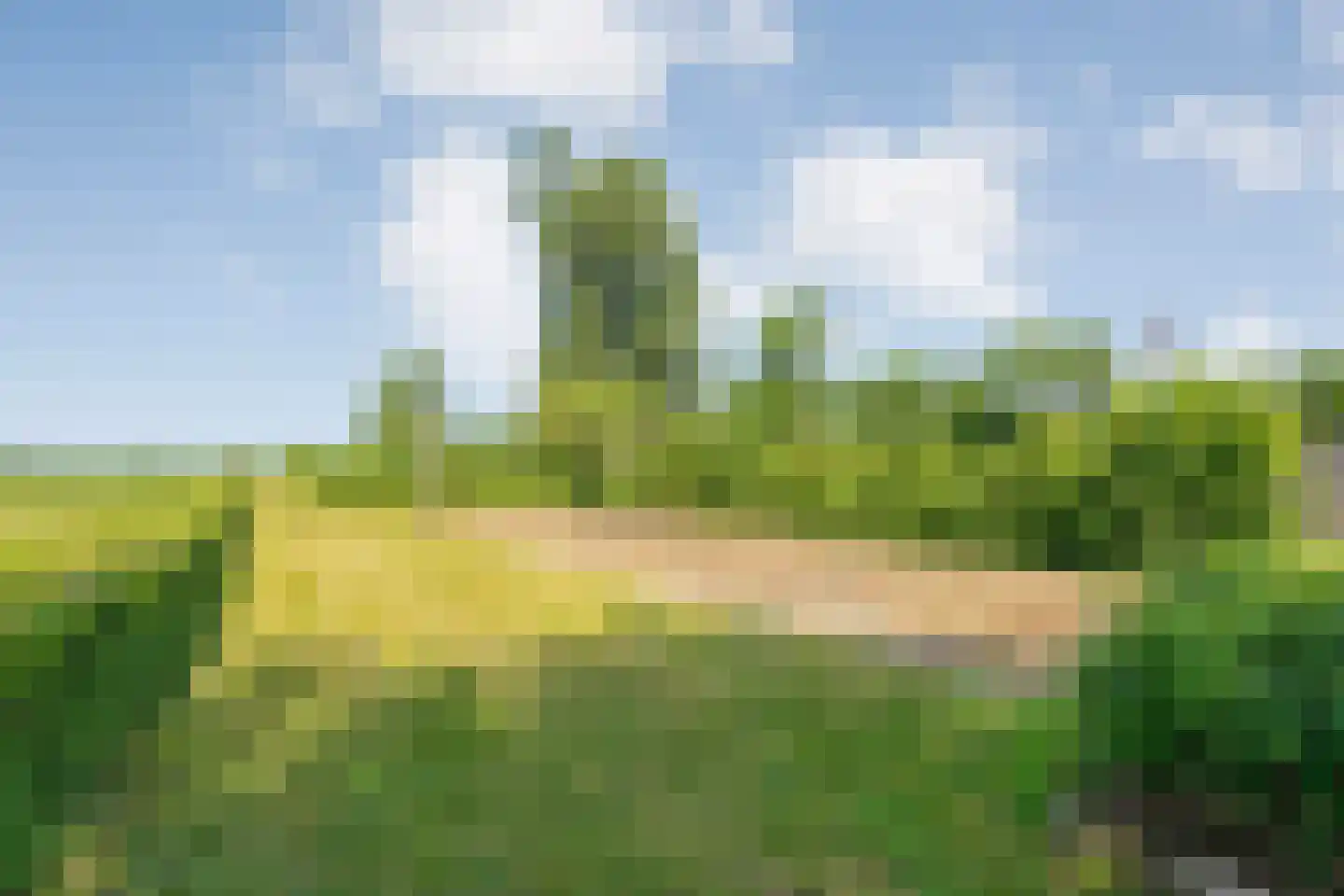Kolderveen 46 Nijeveen thumbnail 69