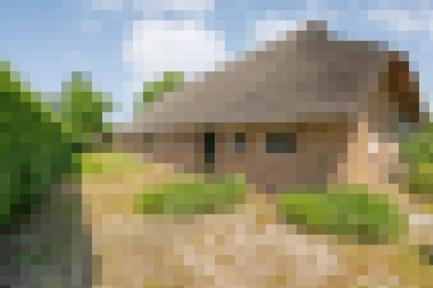 Kolderveen 46 Nijeveen thumbnail 72